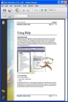 Output PDF